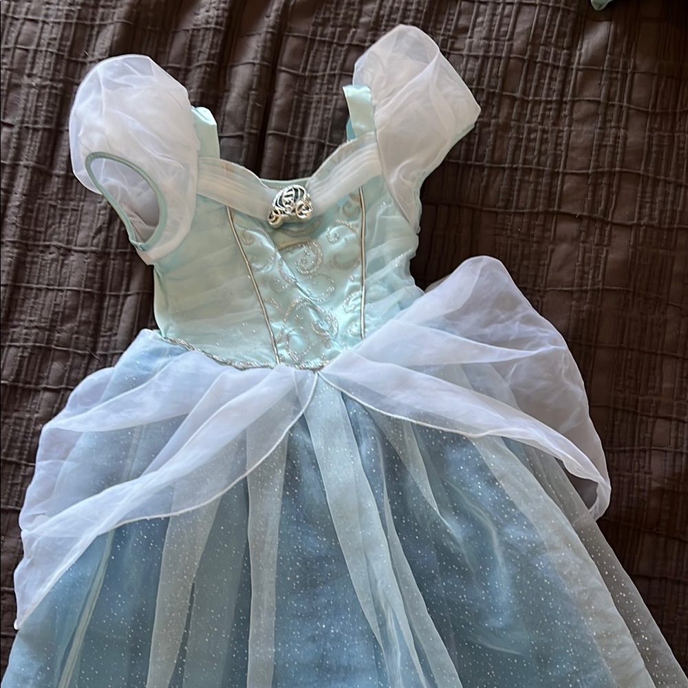 Cinderella Princess Costume